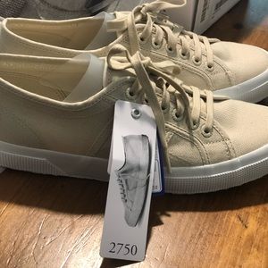 Superga Tennies New 41